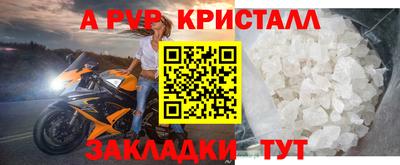 стаф Кунгур