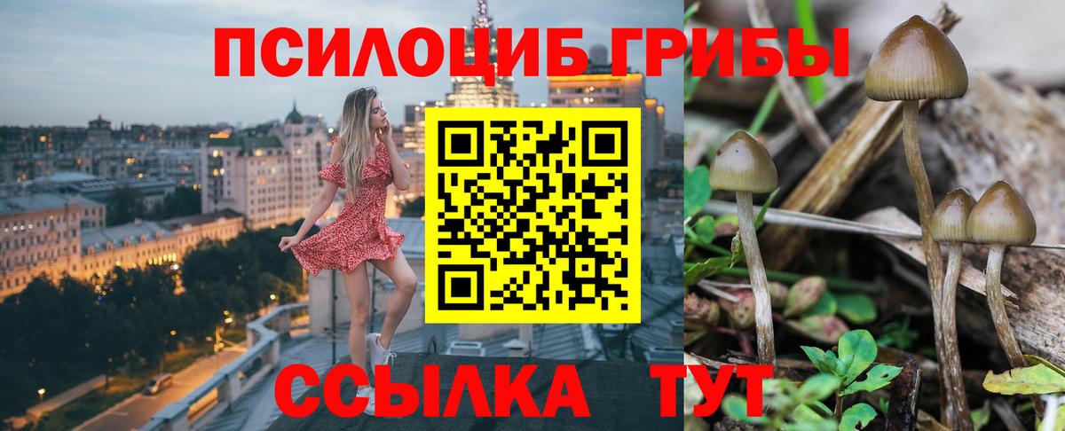Галлюциногенные грибы GOLDEN TEACHER  Псилоцибиновые грибы Magic Shrooms  Вход с VPN  Кирово-Чепецк 